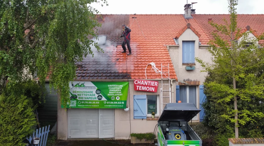 Démoussage toiture écologique Le Plessis-Robinson 92