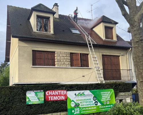 Nettoyage écologique de toiture Le Plessis-Robinson